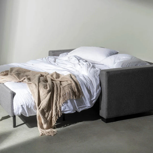 Lyons Silver Sleeper Sofa - DIGS