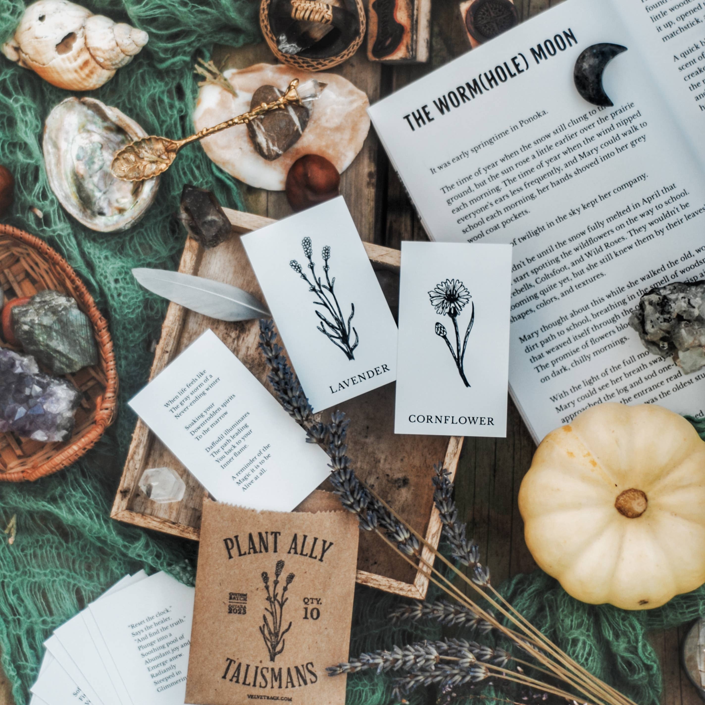 Magic Flowers Book & Bookmark - DIGS