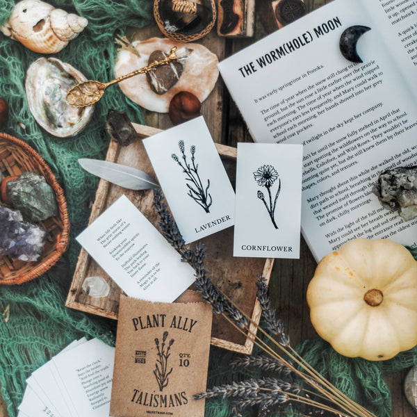 Magic Flowers Book & Bookmark - DIGS