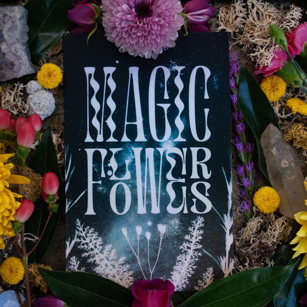 Magic Flowers Book & Bookmark - DIGS