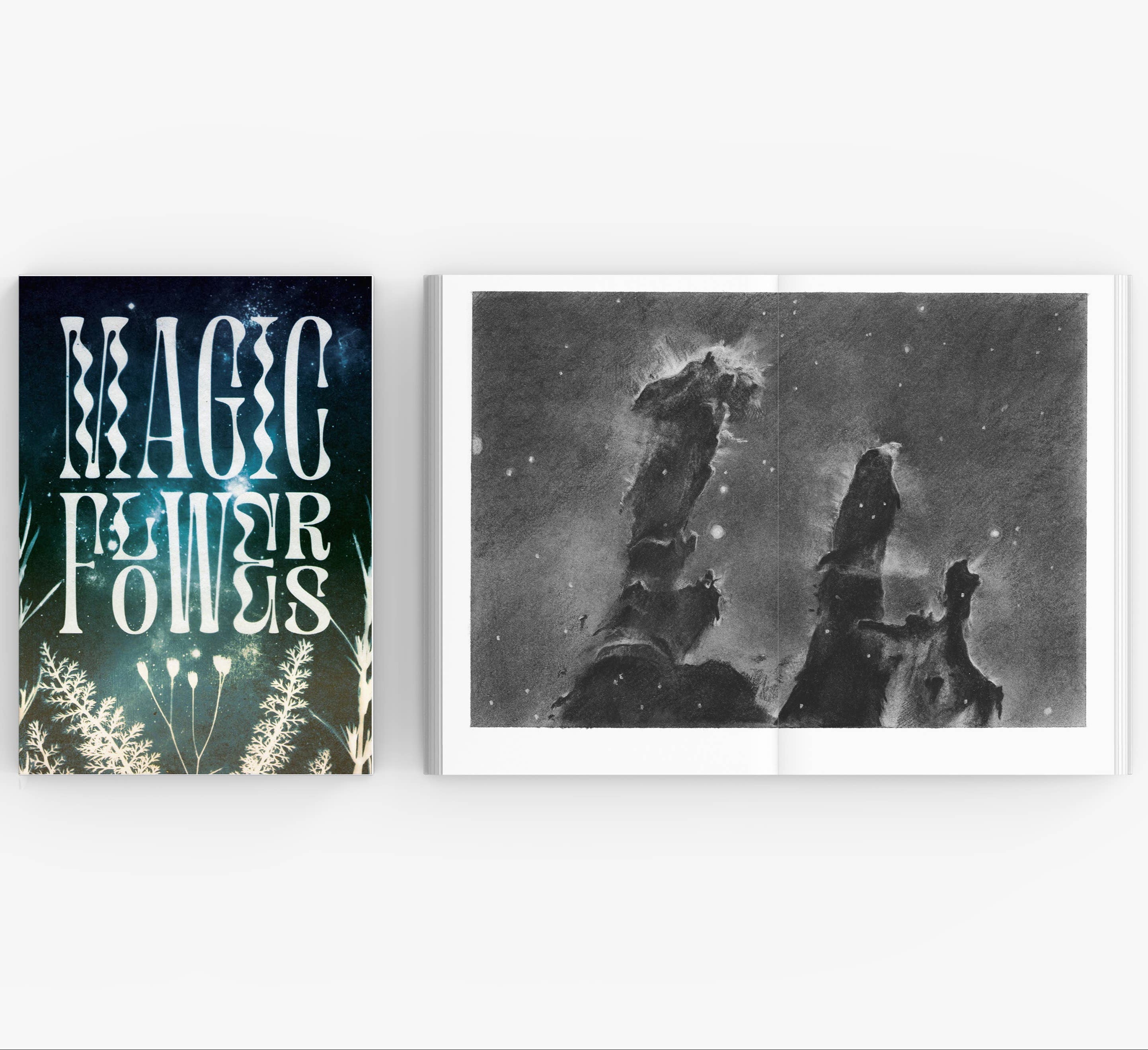 Magic Flowers Book & Bookmark - DIGS