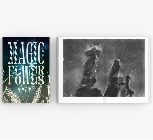 Magic Flowers Book & Bookmark - DIGS