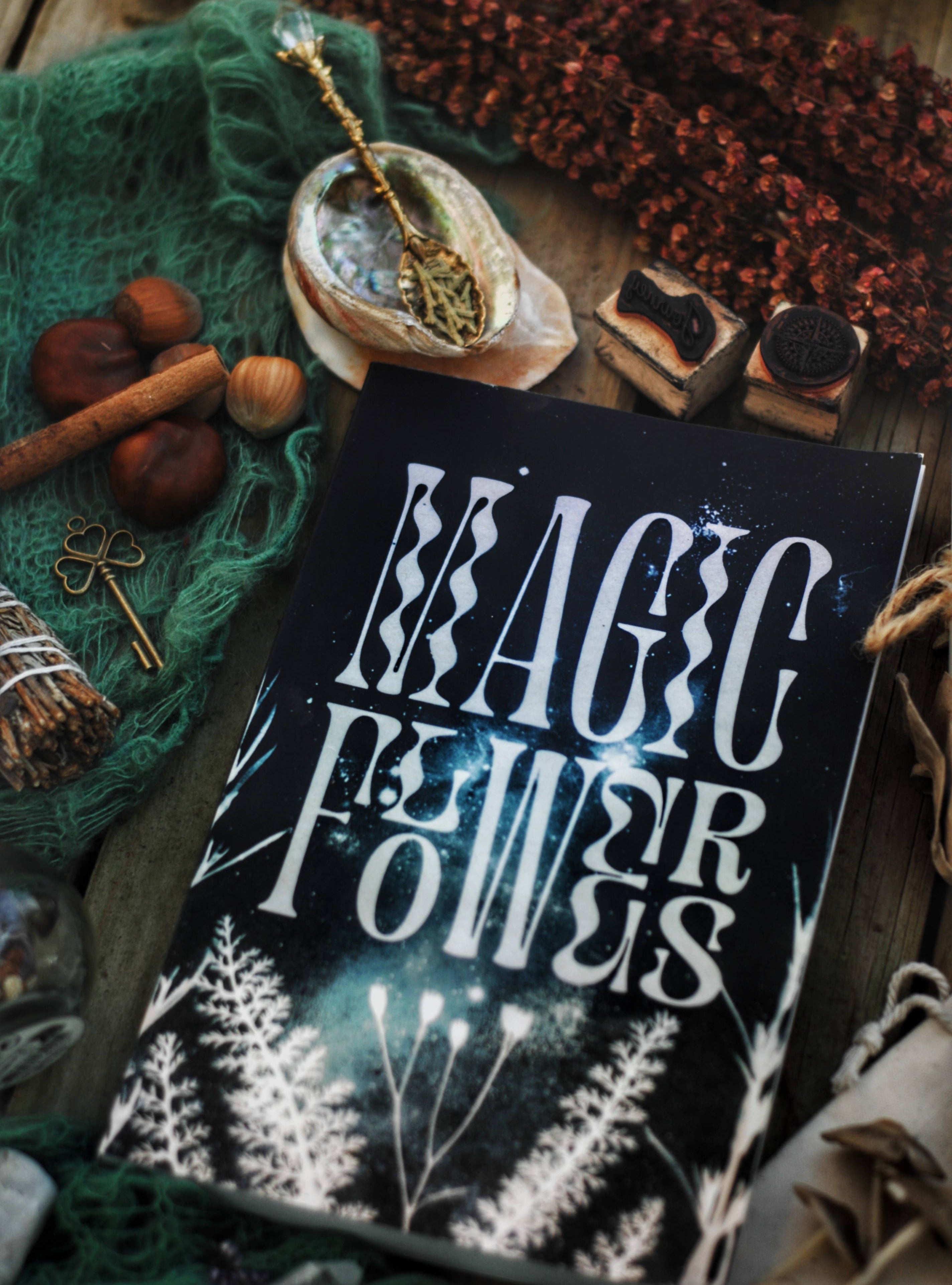 Magic Flowers Book & Bookmark - DIGS