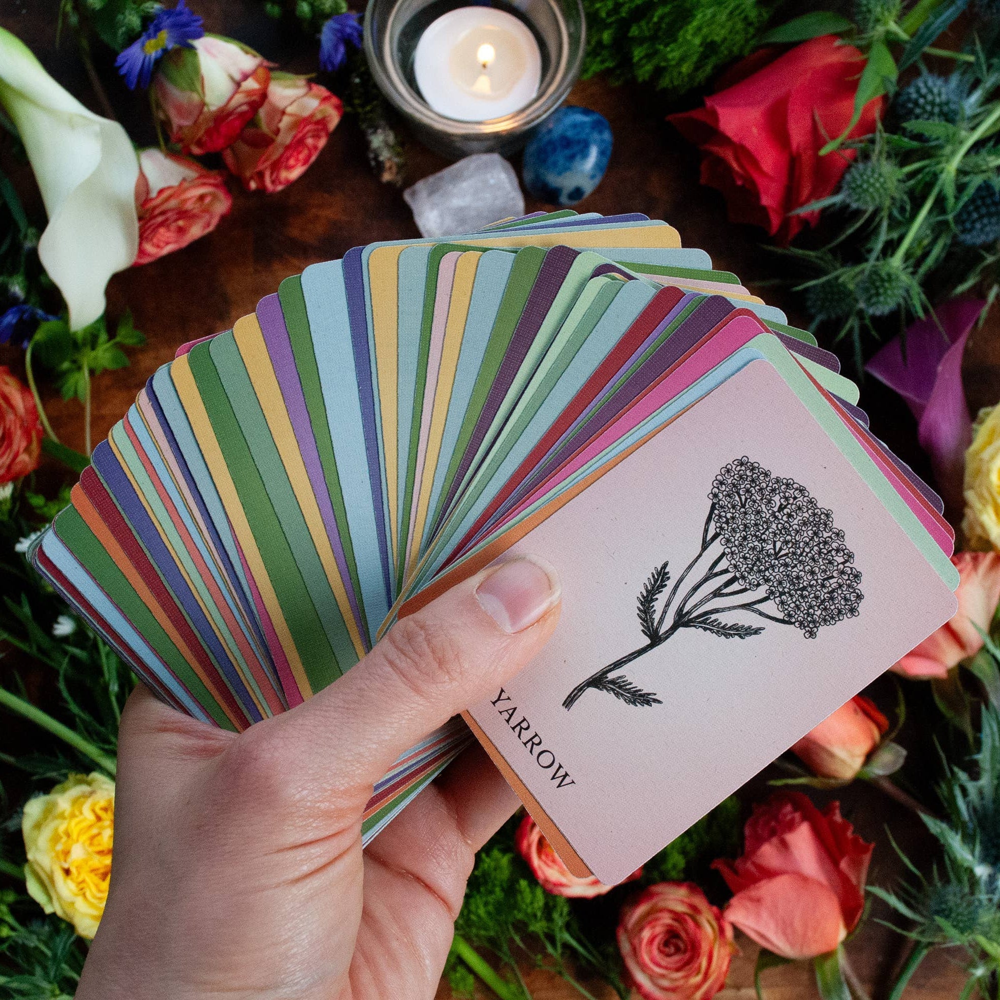 Magic Flowers Poetry Card Deck - DIGS