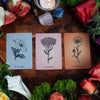 Magic Flowers Poetry Card Deck - DIGS