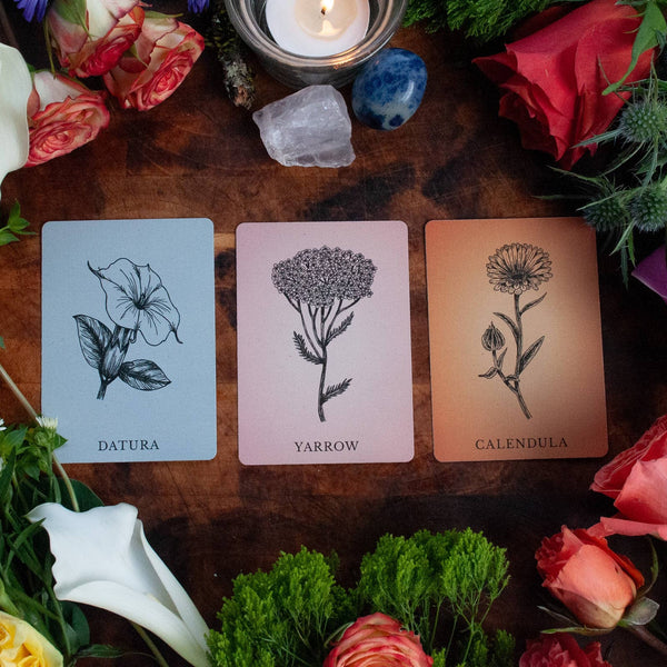 Magic Flowers Poetry Card Deck - DIGS