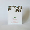 Mama Robin Red Breast Mother's Day Card - DIGS