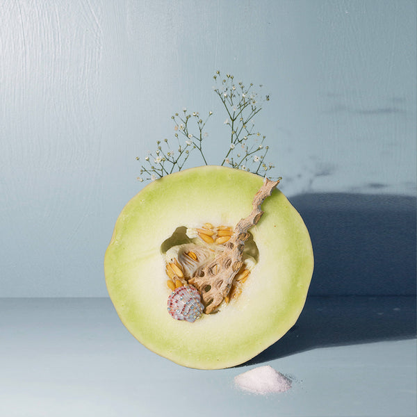 Mariner's Apartment Mini Candle - DIGS