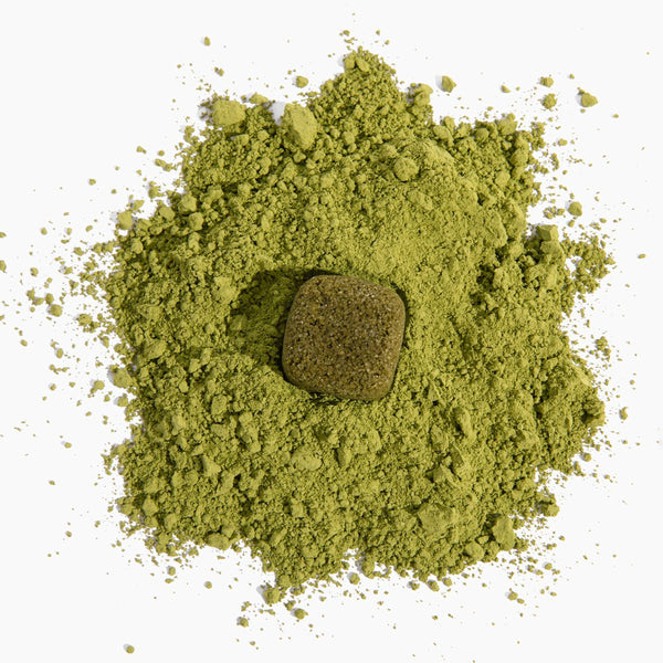 Matcha Boba Tea Kit - DIGS