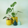 Metal Plant Mister - DIGS