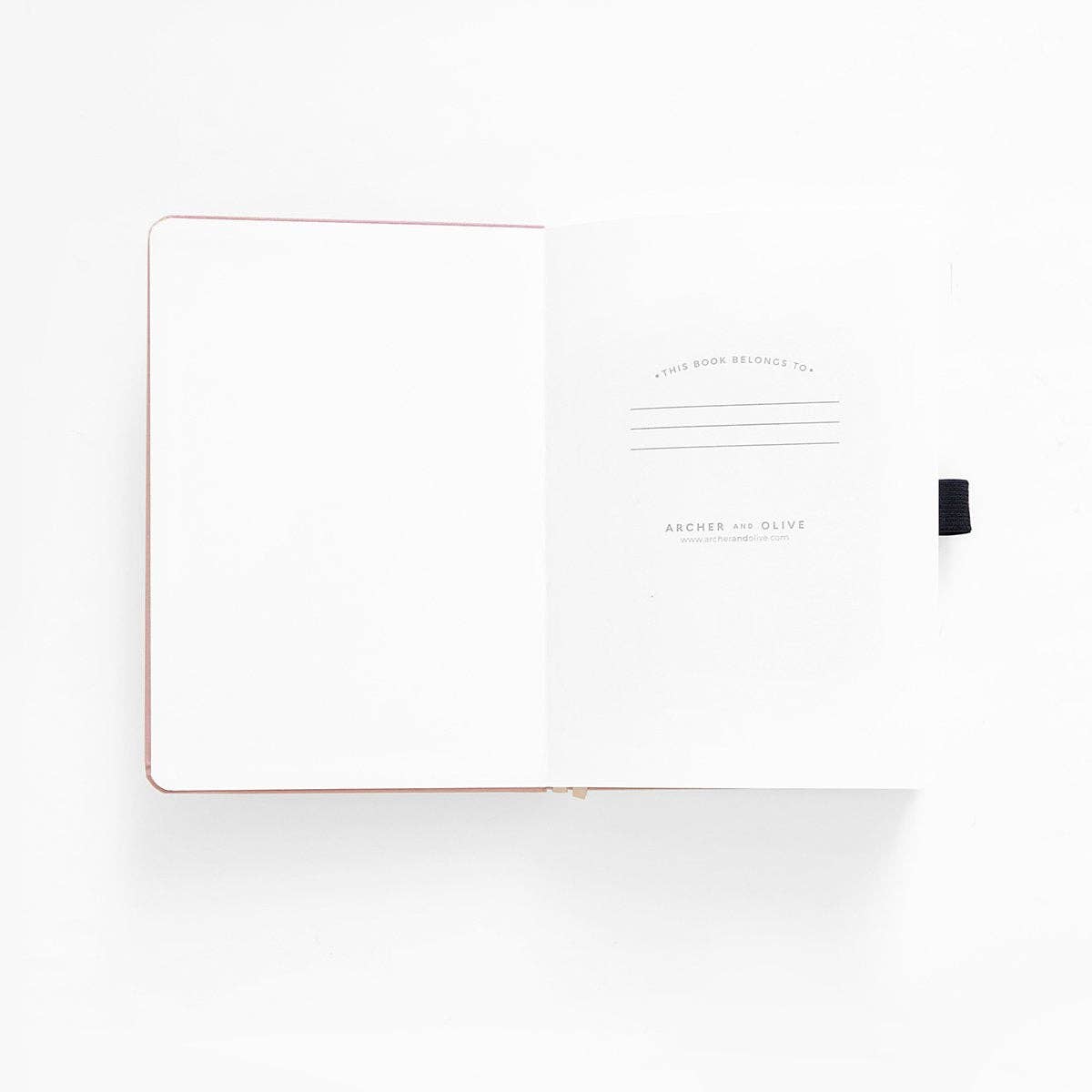 Meteor Shower Lined Notebook - DIGS