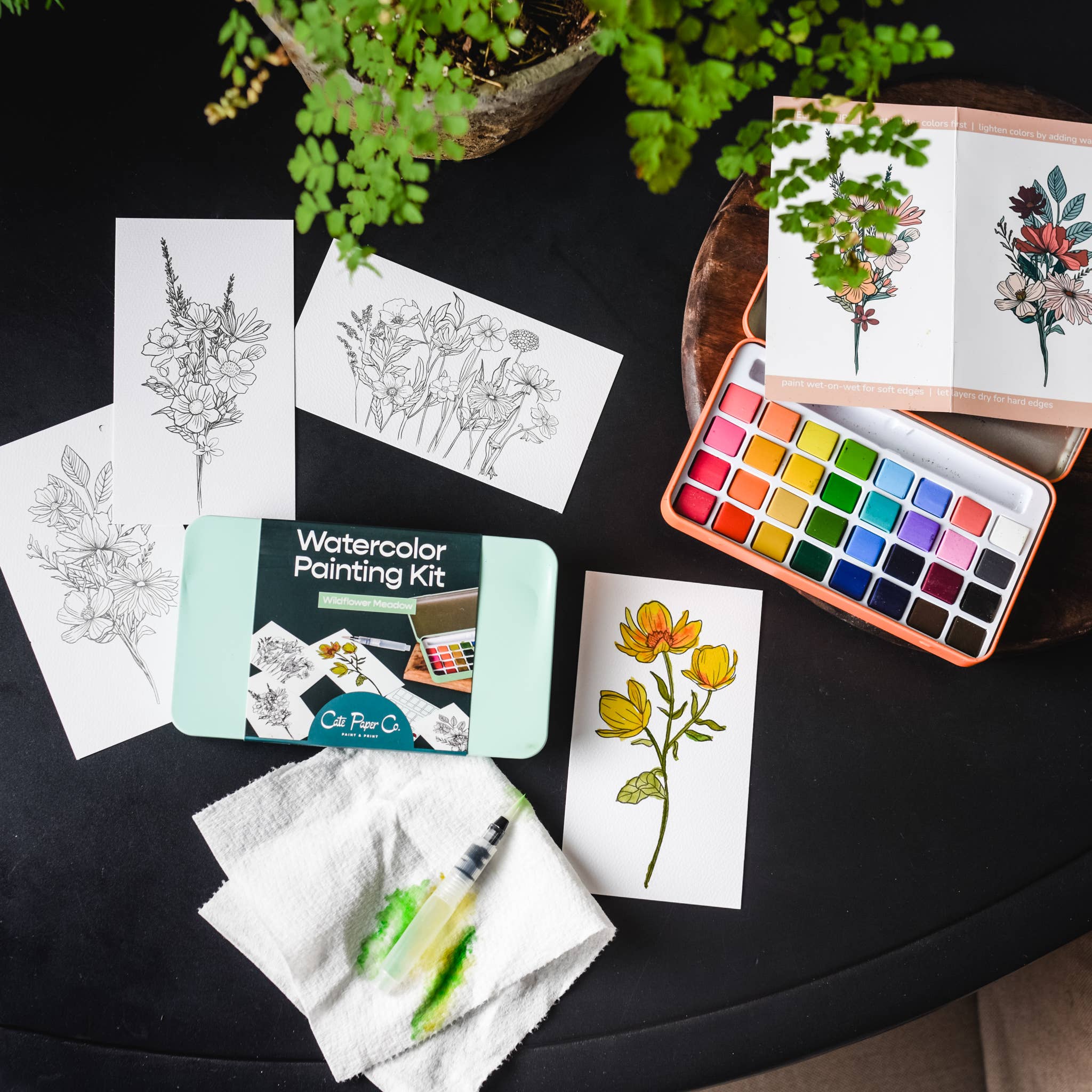 Midwinter Forest Watercolor Painting Kit - DIGS