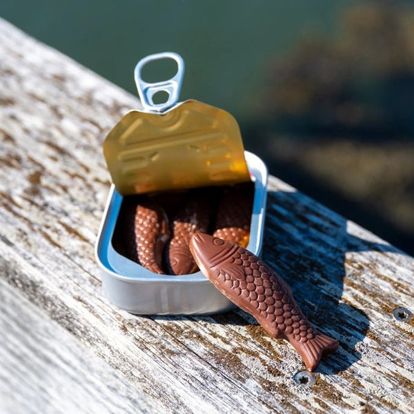 Milk Chocolate Sardines Can - DIGS