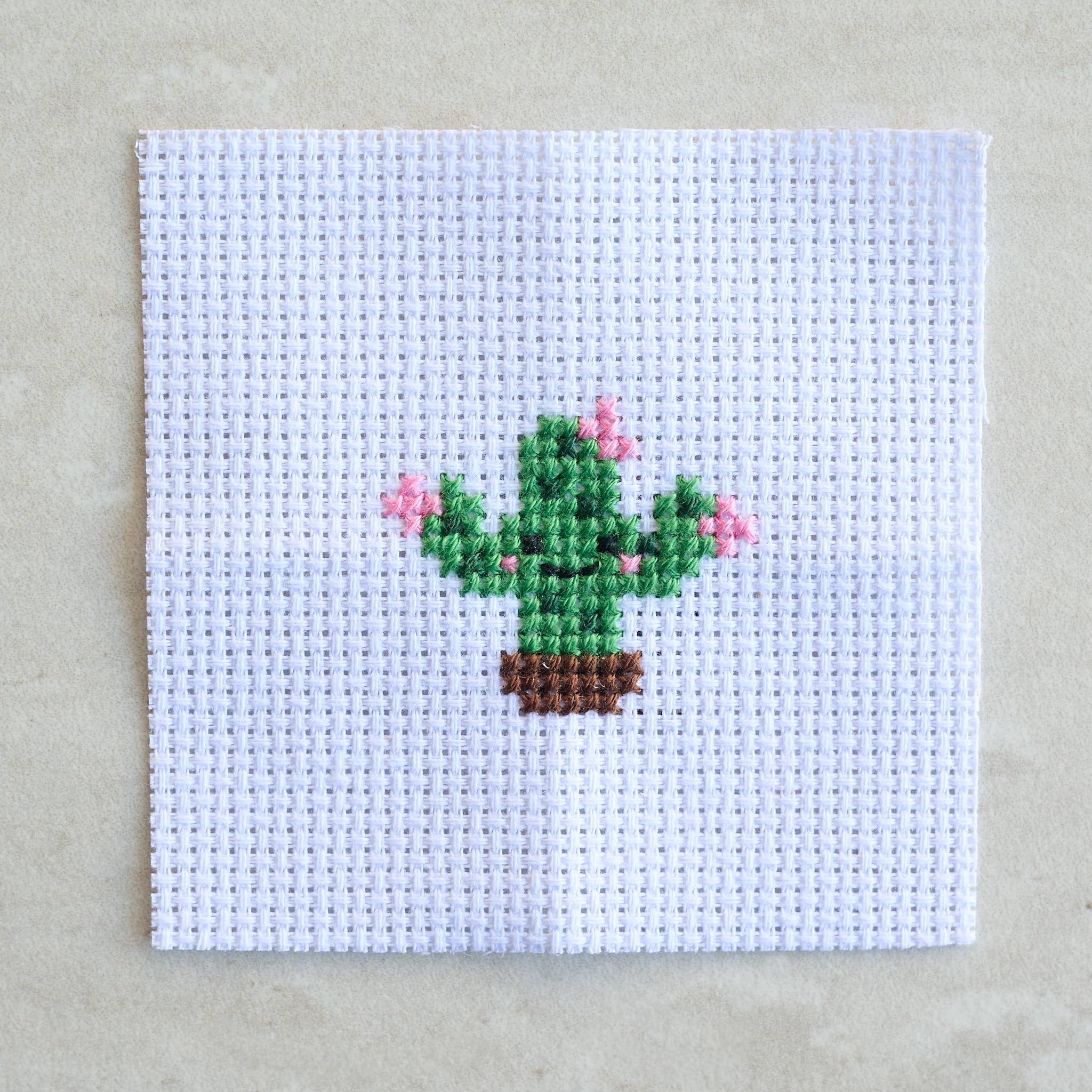 Mini Cactus Cross Stitch Kit - DIGS