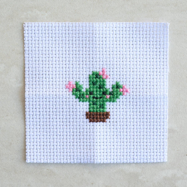 Mini Cactus Cross Stitch Kit - DIGS