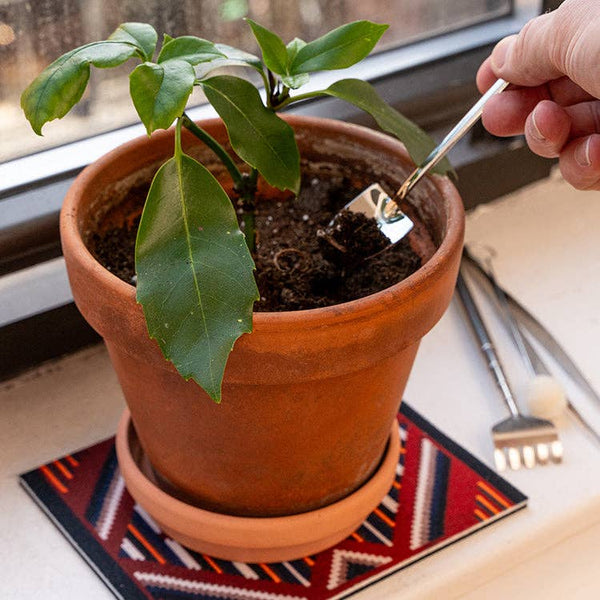 Mini Garden Tools - DIGS
