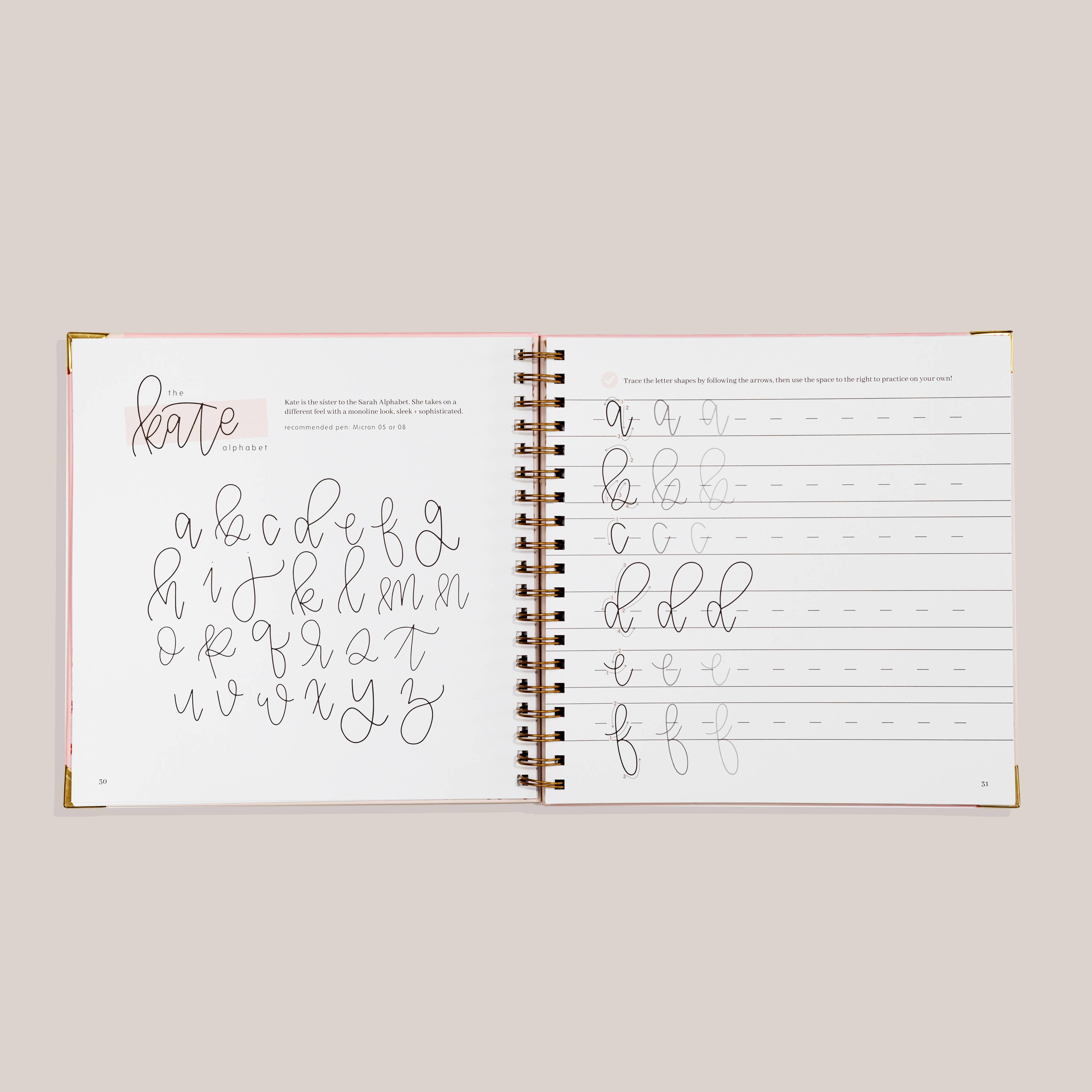 Modern Calligraphy: A Calligraphy Practice Workbook - DIGS