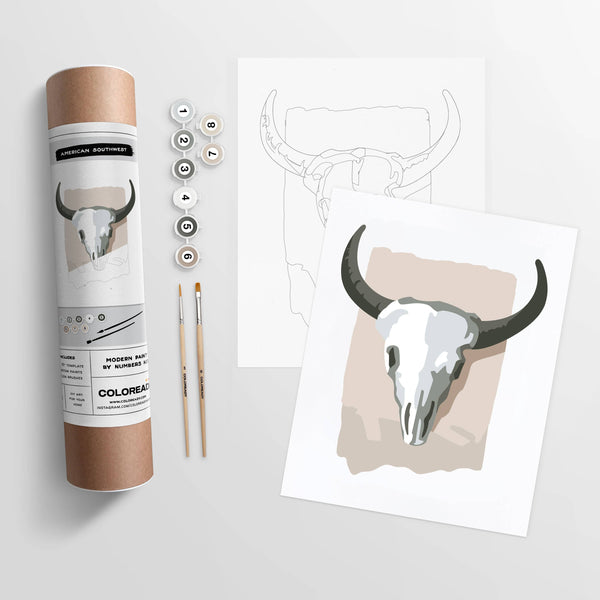 Modern Paint By Numbers Kit: American Southwest - DIGS