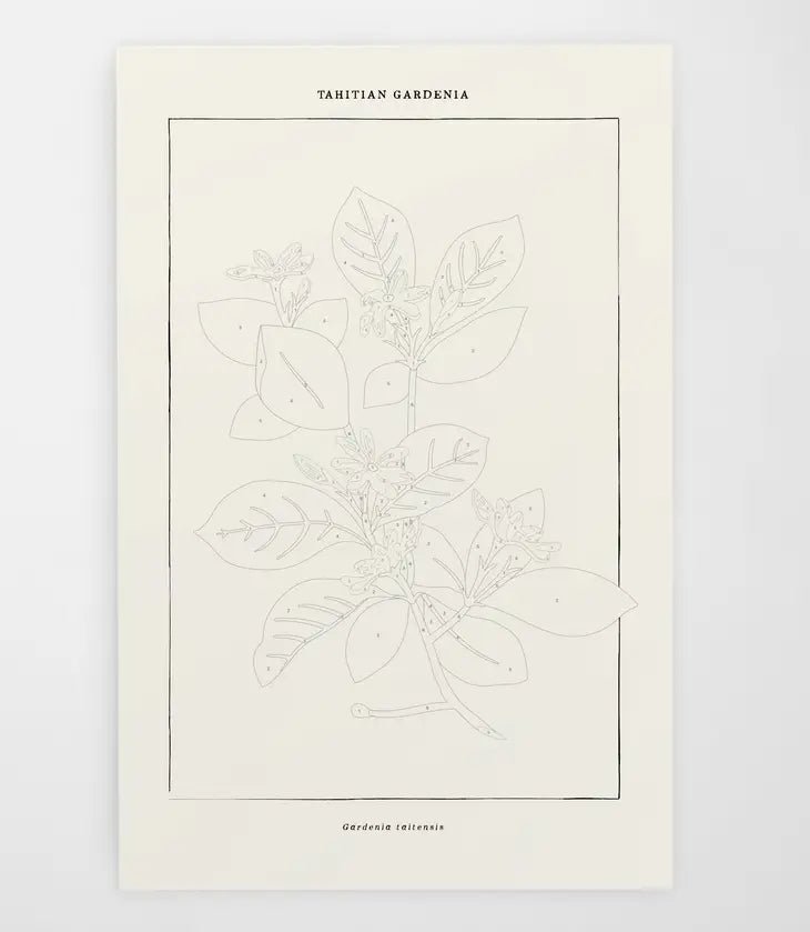 Modern Paint By Numbers Kit: Tahitian Botanical - DIGS