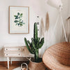 Modern Paint By Numbers Kit: Tahitian Botanical - DIGS