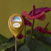 Moisture Meter - DIGS