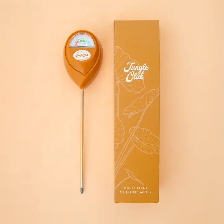 Moisture Meter - DIGS