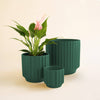Monroe Planter - Rainforest - DIGS