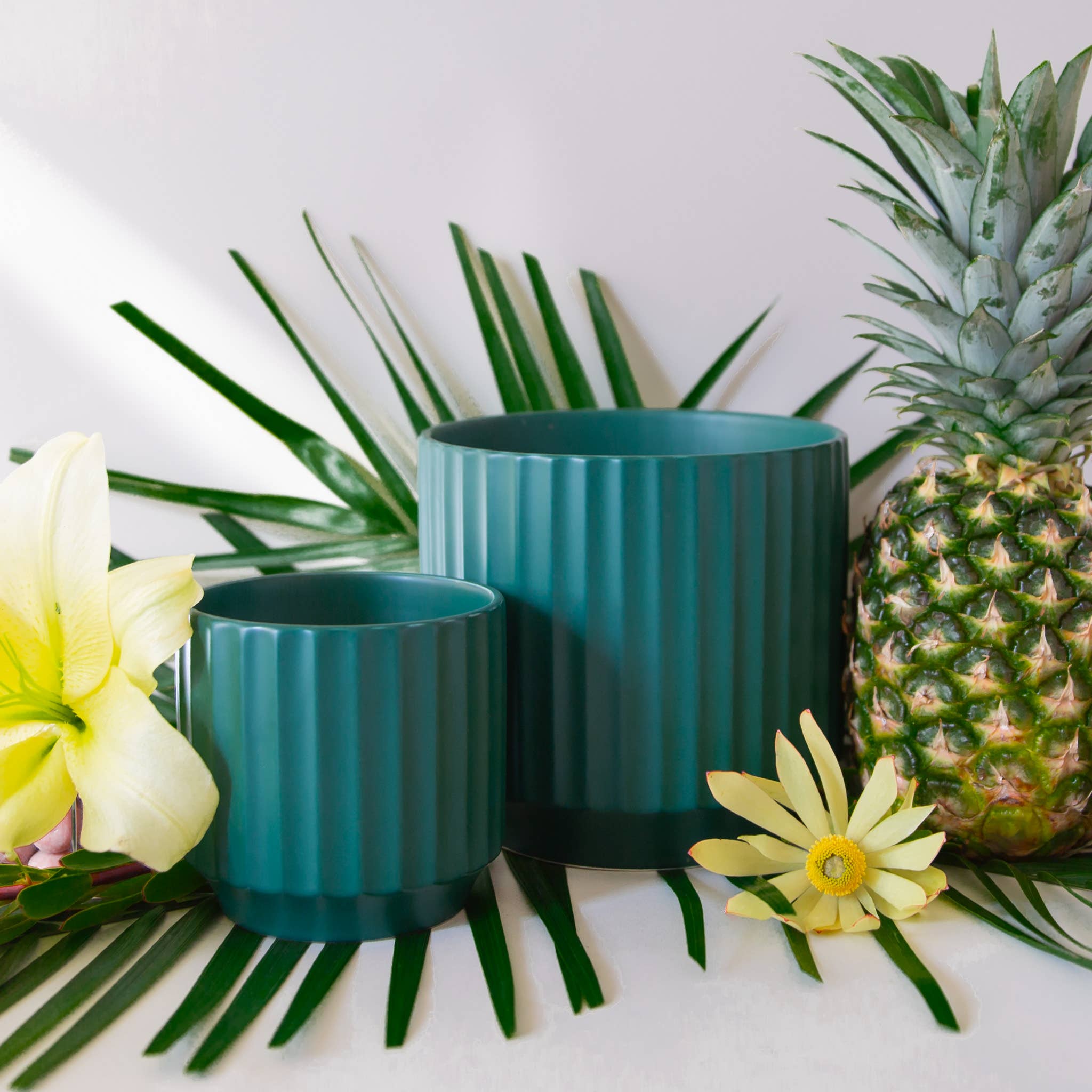 Monroe Planter - Rainforest - DIGS