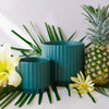Monroe Planter - Rainforest - DIGS
