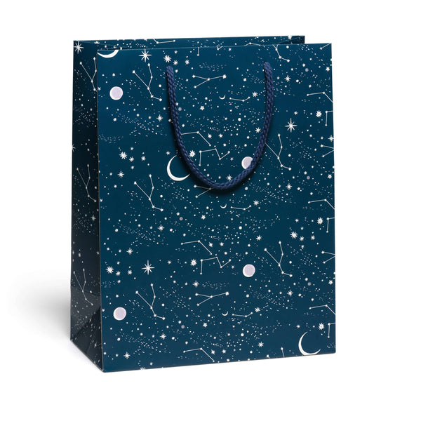 Moon & Stars Gift Bags - DIGS