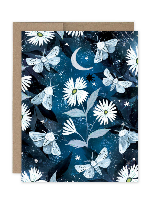 Moths Notecards Box Set - DIGS