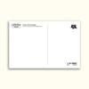 Mount Rainier National Park Wildflowers Postcard - DIGS