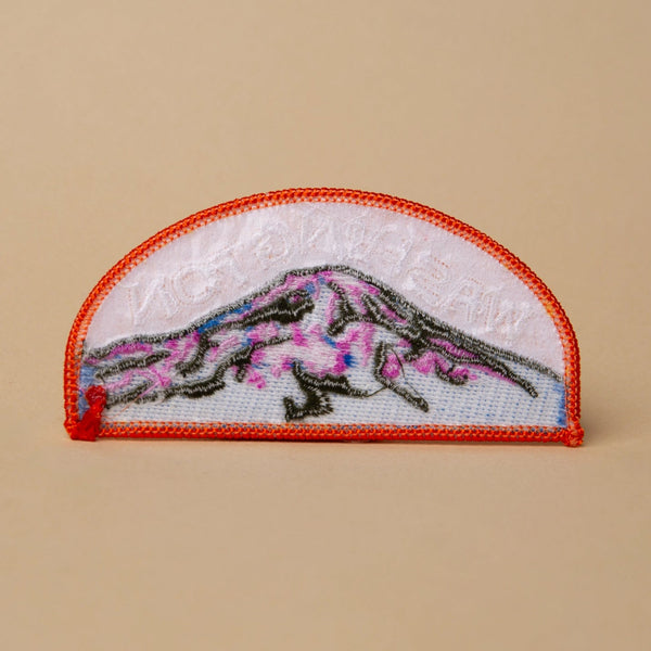 Mt. Rainier Washington Patch - DIGS