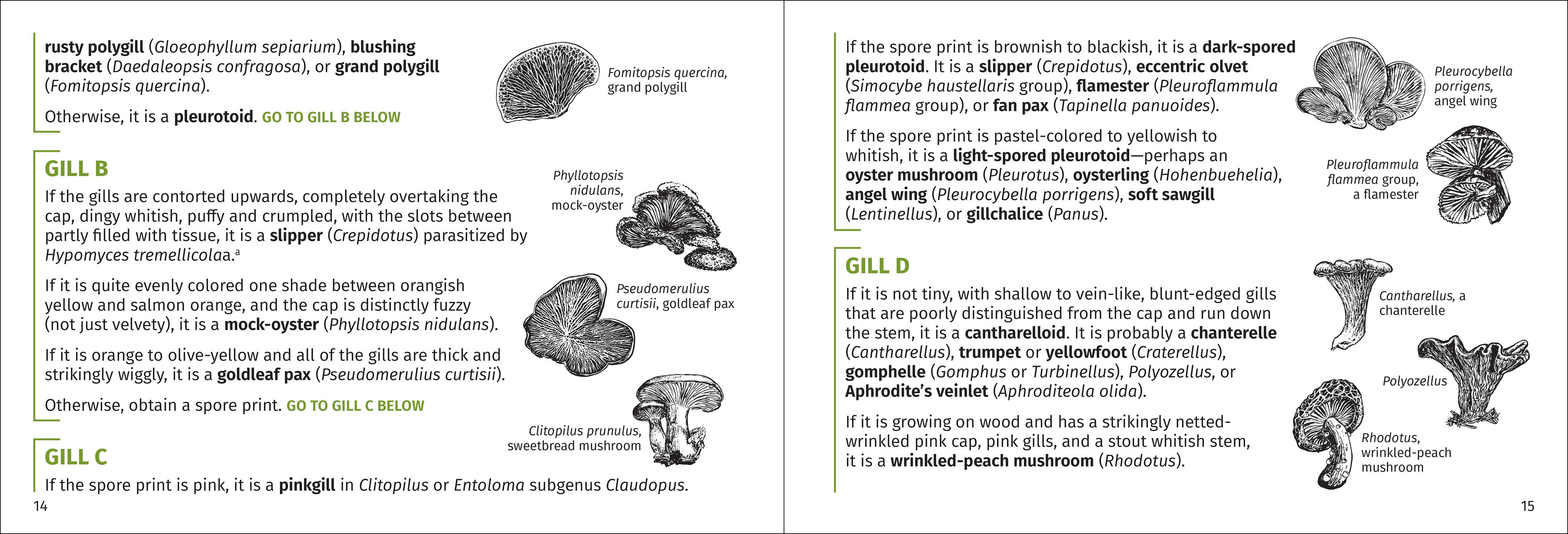 Mushroom Finder Pocket Guide - DIGS