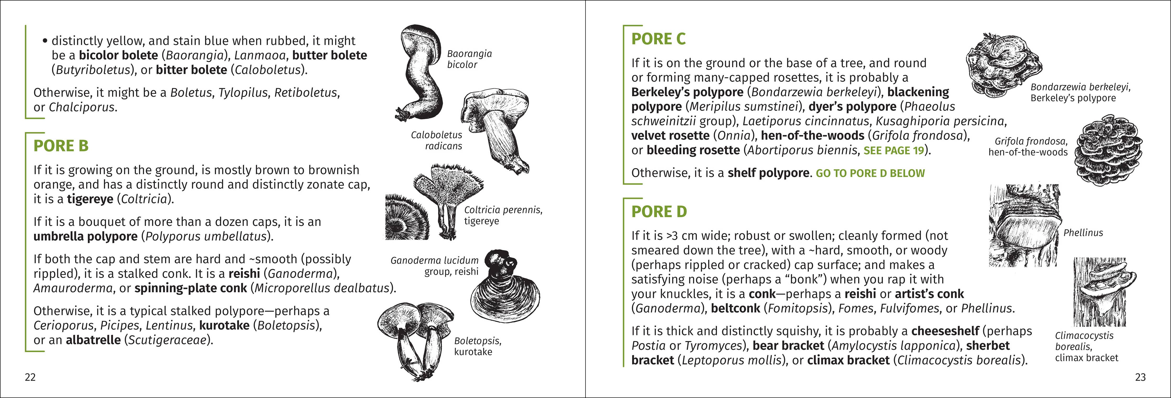 Mushroom Finder Pocket Guide - DIGS