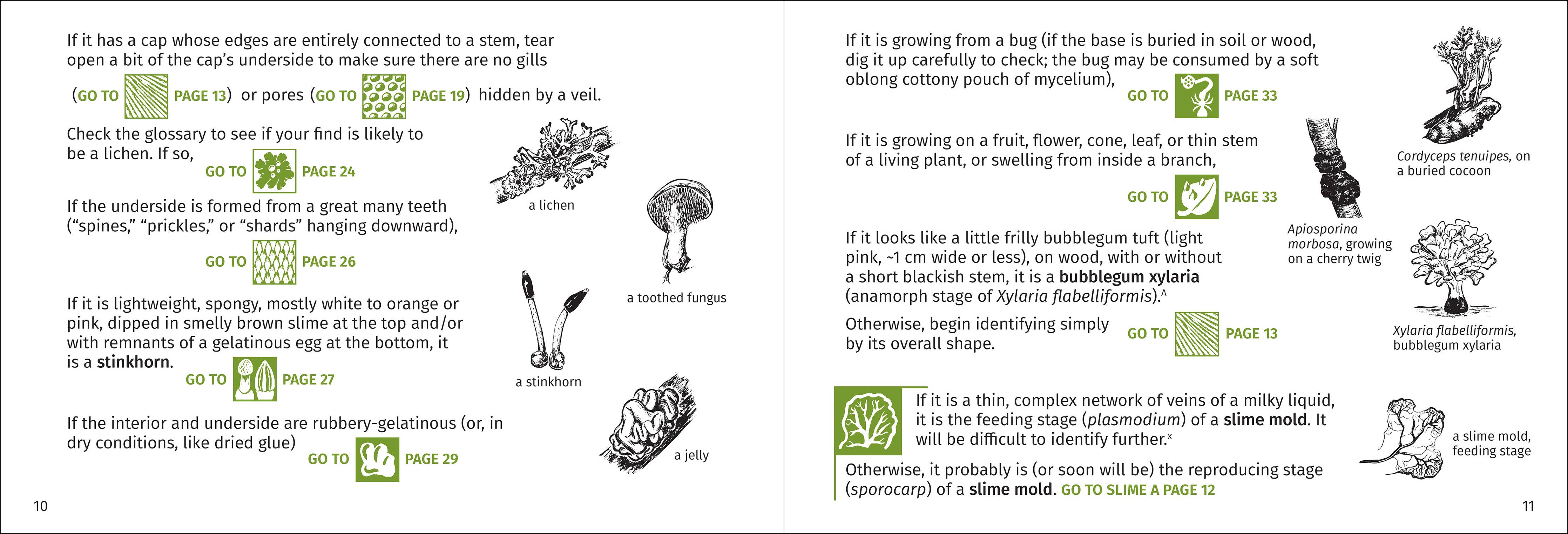 Mushroom Finder Pocket Guide - DIGS