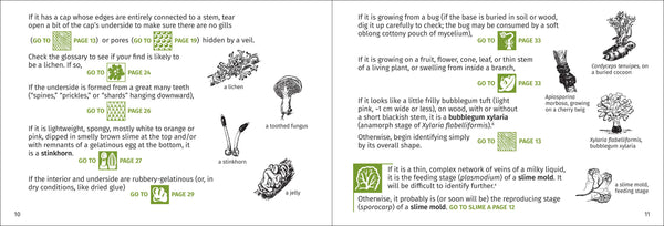 Mushroom Finder Pocket Guide - DIGS