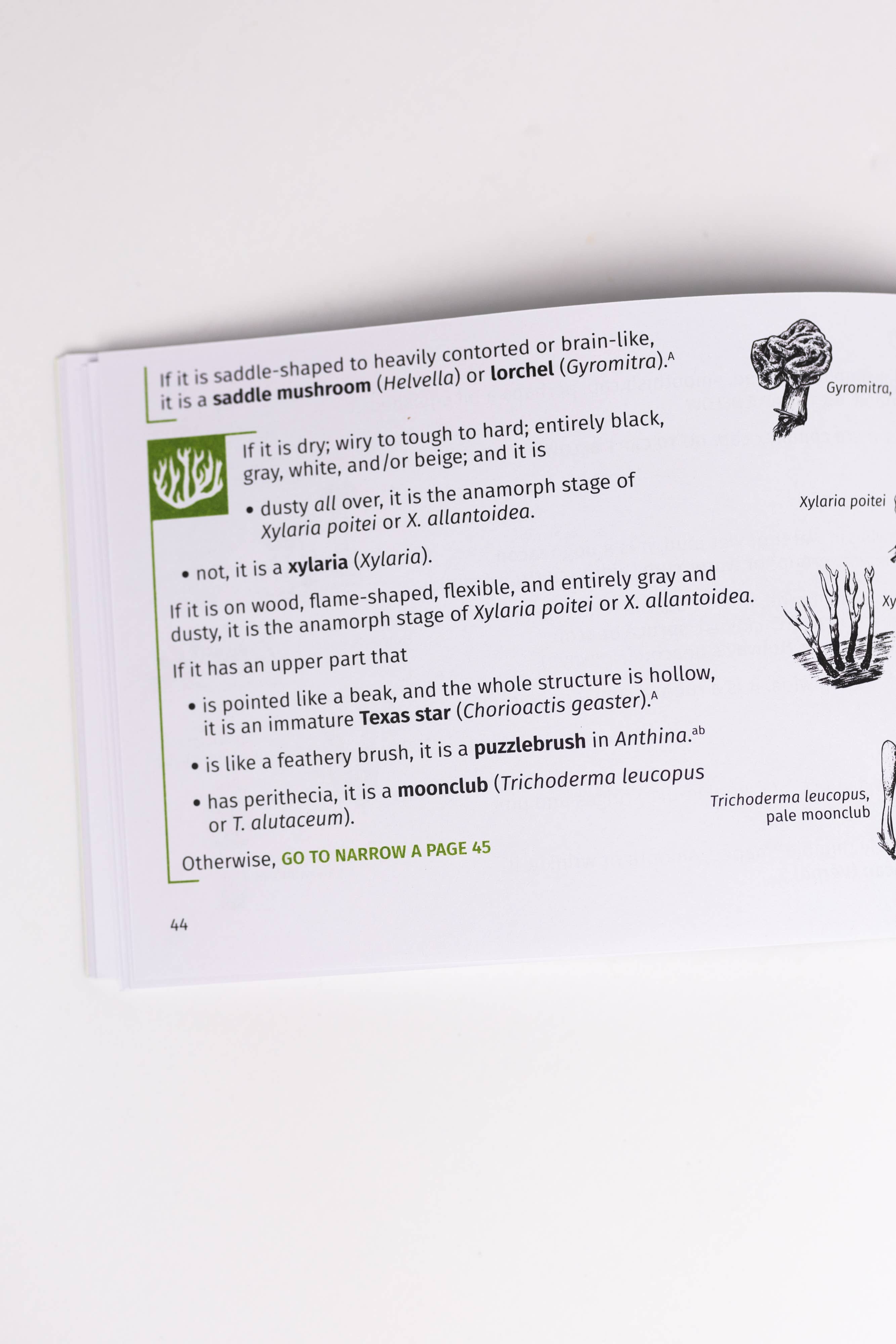 Mushroom Finder Pocket Guide - DIGS