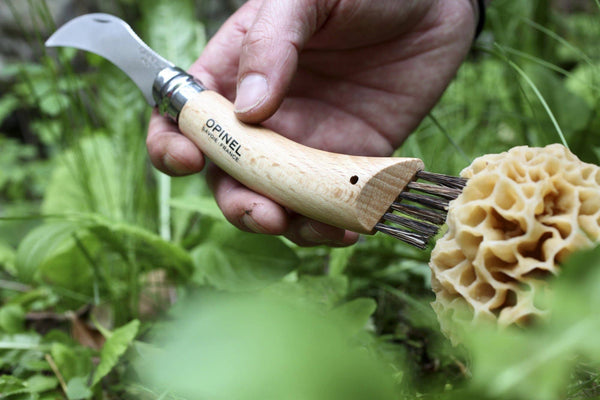 Mushroom Knife with Brush - DIGS