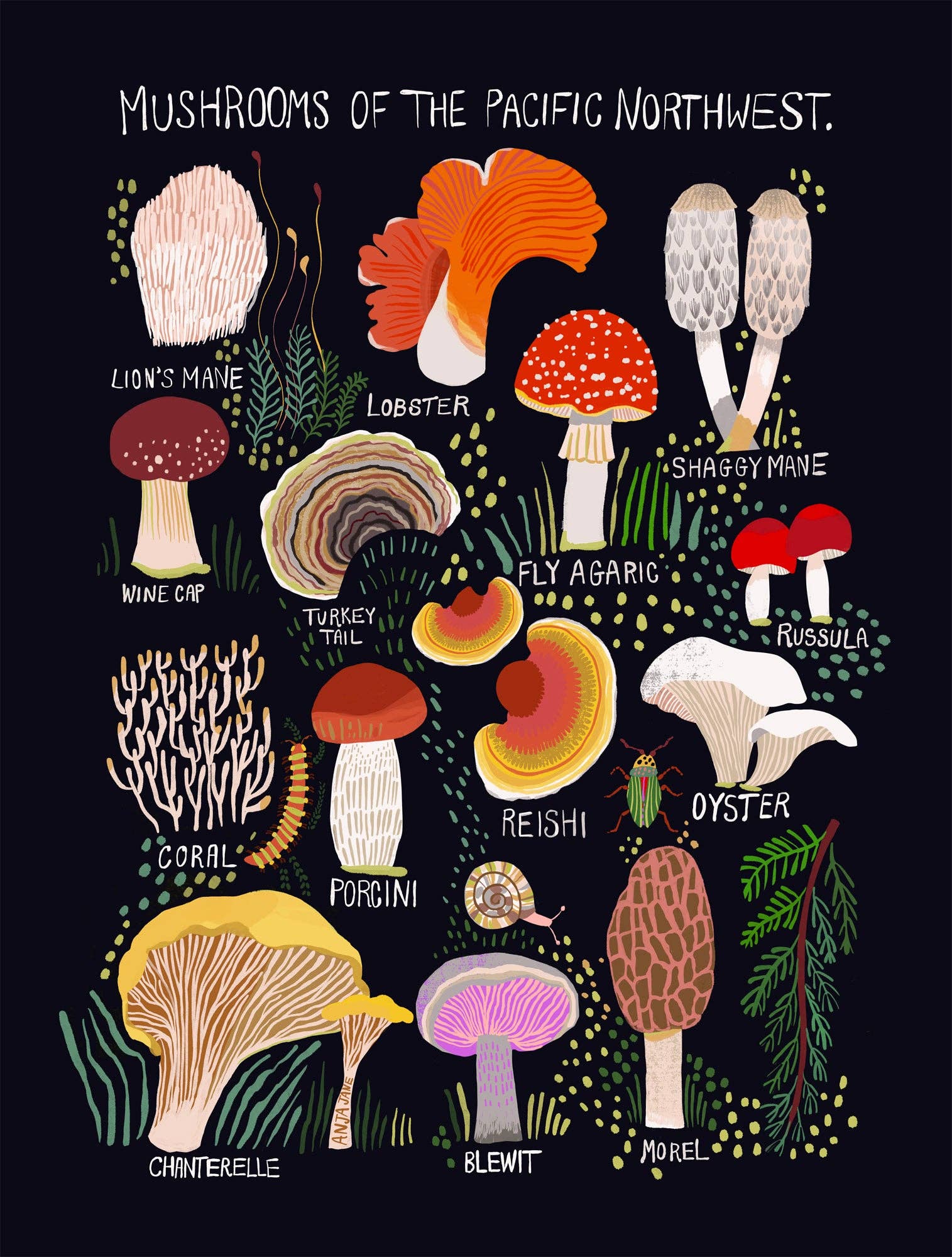 Mushrooms of the Pacific Northwest Art Print - DIGS