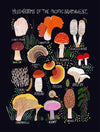 Mushrooms of the Pacific Northwest Art Print - DIGS