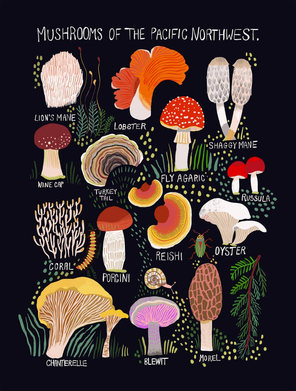 Mushrooms of the Pacific Northwest Art Print - DIGS