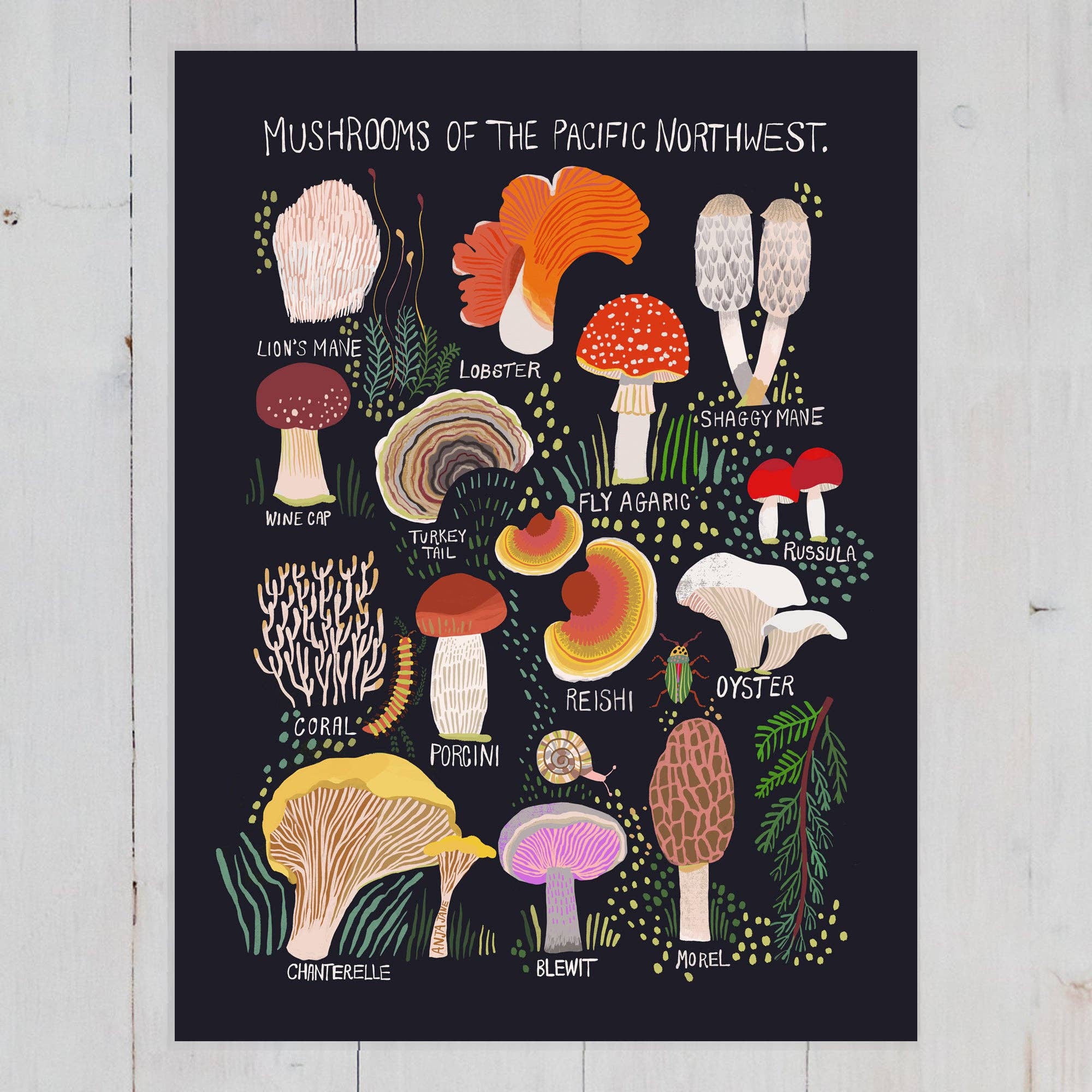 Mushrooms of the Pacific Northwest Art Print - DIGS