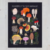 Mushrooms of the Pacific Northwest Art Print - DIGS