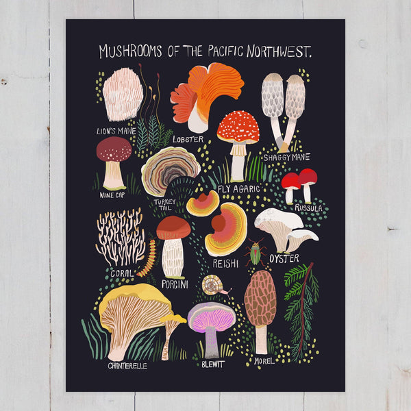 Mushrooms of the Pacific Northwest Art Print - DIGS