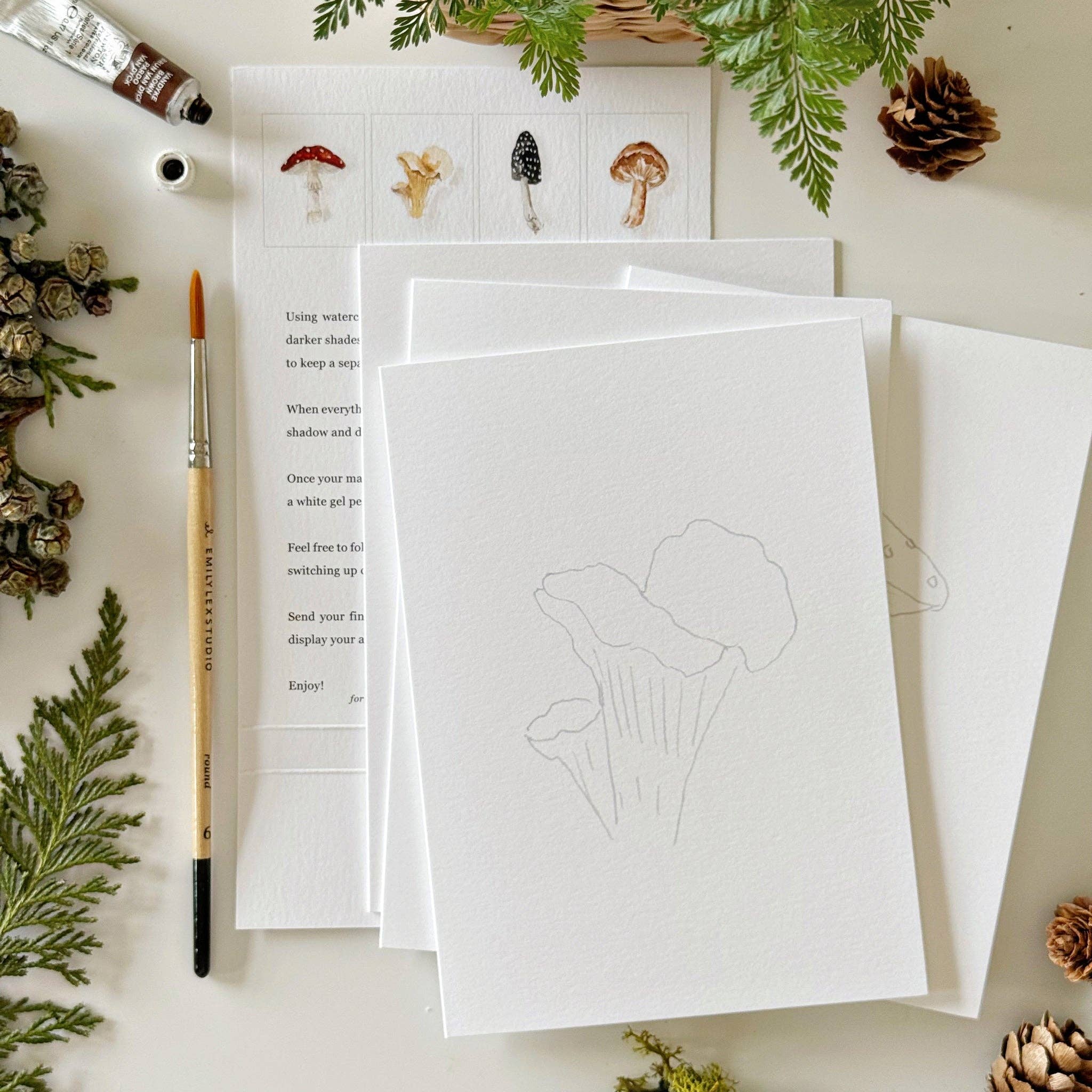 Mushrooms Paintable Notecards - DIGS