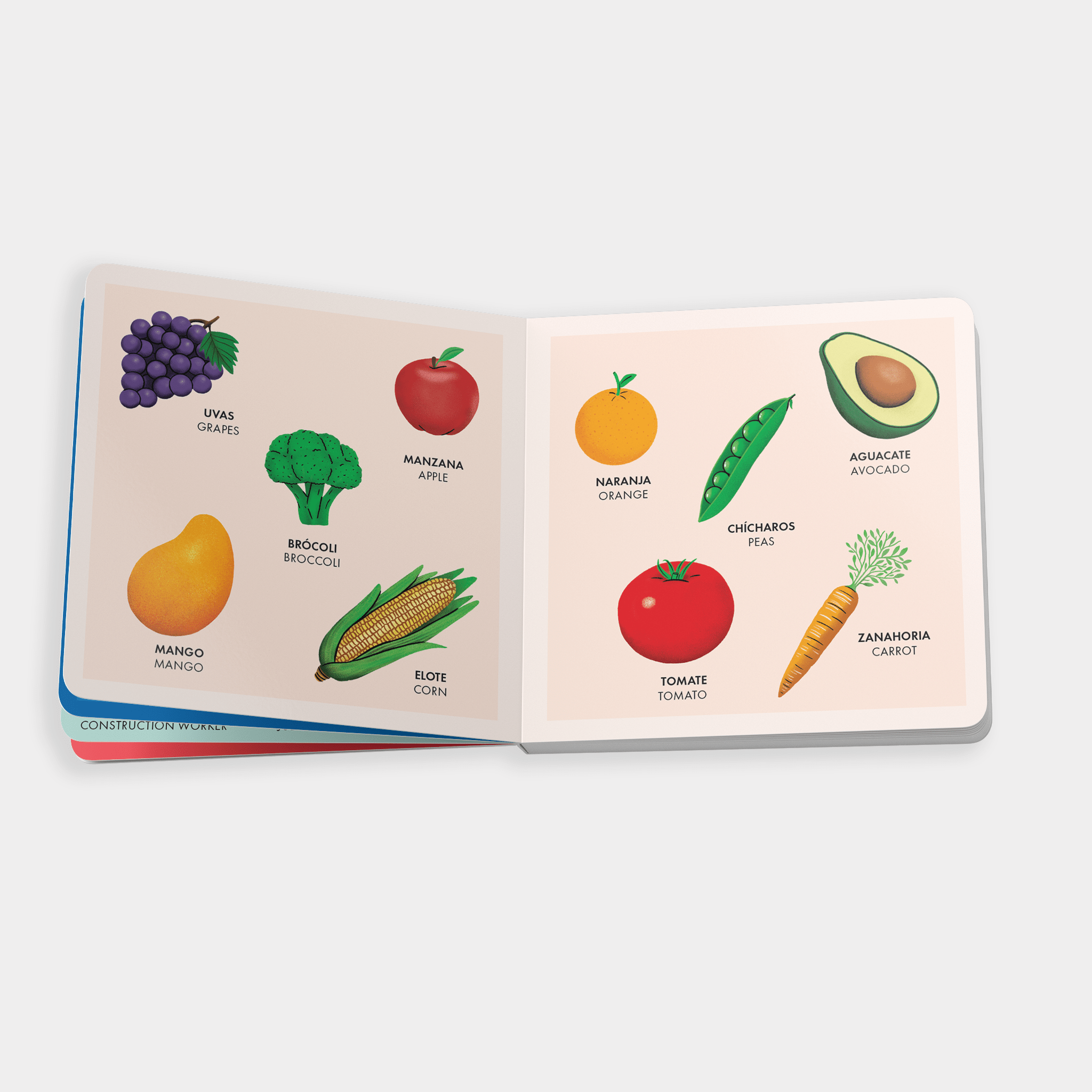 My Big Bilingual Book of First Words (English & Spanish) - DIGS