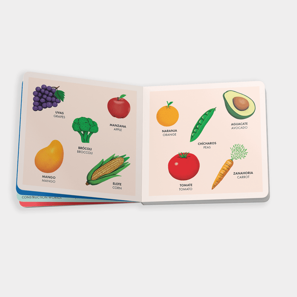 My Big Bilingual Book of First Words (English & Spanish) - DIGS