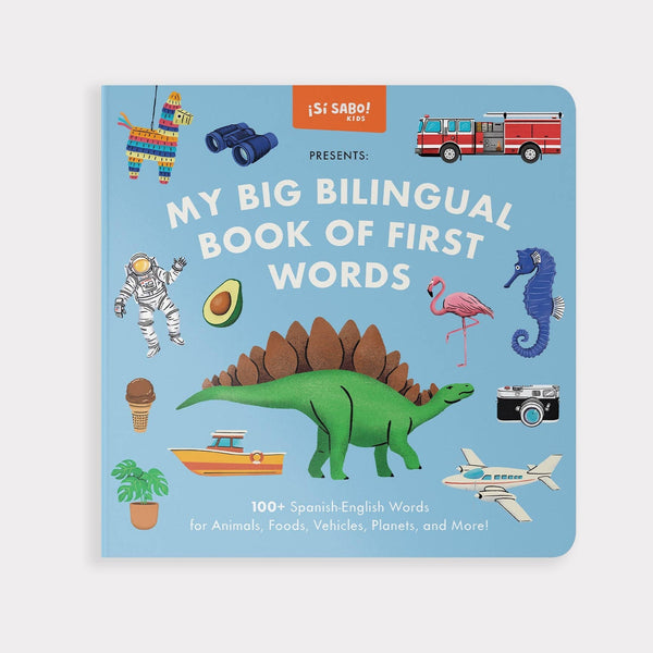 My Big Bilingual Book of First Words (English & Spanish) - DIGS
