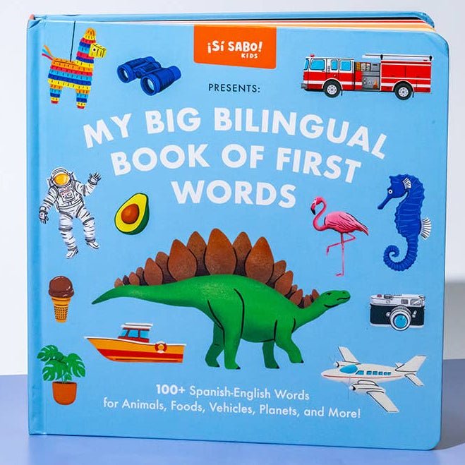 My Big Bilingual Book of First Words (English & Spanish) - DIGS